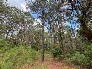 TBD CR 4510 - Photo 22