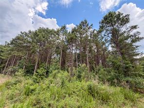 TBD CR 4510 - Photo 23