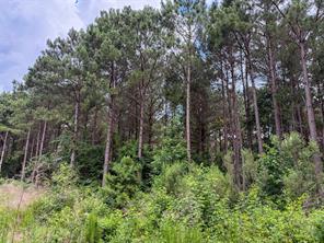 TBD CR 4510 - Photo 24