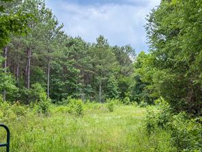 TBD CR 4510 - Photo 29
