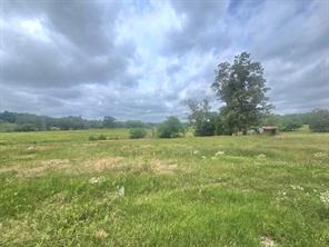 TBD County Road 246 - Photo 1