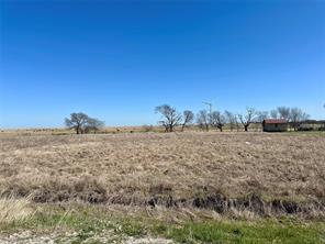 Lot 41 SW County Rd 4170 - Photo 1