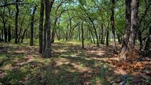 8752 Fm 1749 - Photo 10
