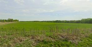 TBD Taylor Road - Photo 4