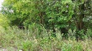 Lot 102-103 Private Road 2280 - Photo 10
