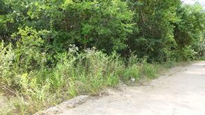 Lot 102-103 Private Road 2280 - Photo 13