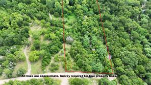 Lot 102-103 Private Road 2280 - Photo 5