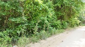 Lot 102-103 Private Road 2280 - Photo 7