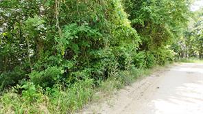Lot 102-103 Private Road 2280 - Photo 9