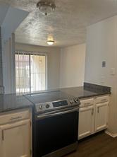 4020 Blue Flag Lane - Photo 13