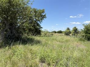 00 Ambruss Jones Road - Photo 1