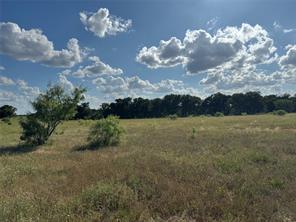 Lot 26 Canyon Ranch Road - Photo 5
