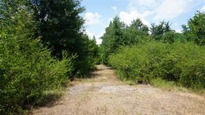 TBD Private Road 7907 - Photo 11
