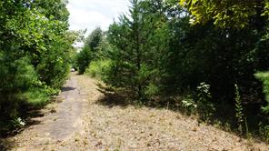 TBD Private Road 7907 - Photo 16