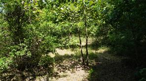 TBD Private Road 7907 - Photo 23