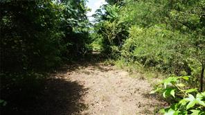 TBD Private Road 7907 - Photo 29