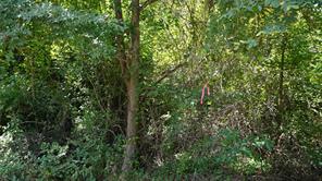 TBD Private Road 7907 - Photo 5