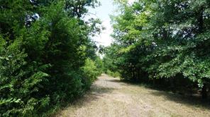 TBD Private Road 7907 - Photo 6