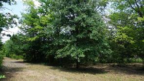 TBD Private Road 7907 - Photo 7
