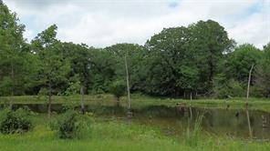 12387 County Road 3120 - Photo 1
