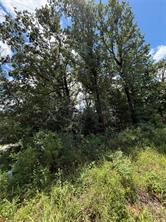 150 Navarro Drive - Photo 4