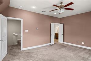 7116 Rose Quartz CT - Photo 17