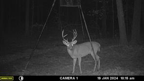 TBD County Road 1695 - Photo 13