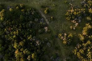 28205 N US Highway 281 - Photo 14
