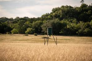 28205 N US Highway 281 - Photo 26