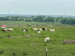 1044 HCR 3241 - Photo 19
