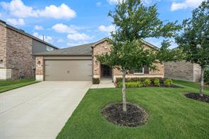5436 Agalinis Avenue - Photo 1