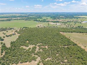18 A Tract 1 Highway 16 - Photo 14