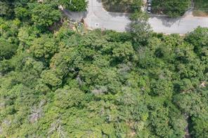 1524 Tierney Road - Photo 9