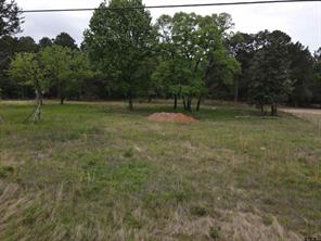 13041 County Road 4122 - Photo 2