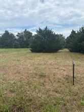 234 County Road 3501 - Photo 1