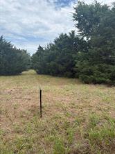 234 County Road 3501 - Photo 2