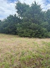 234 County Road 3501 - Photo 3