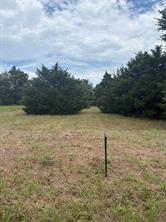 234 County Road 3501 - Photo 4