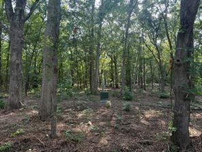 57 PR 43955 - Photo 1