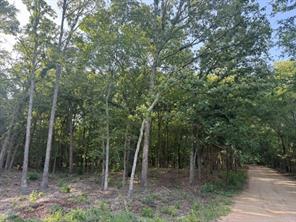57 PR 43955 - Photo 4