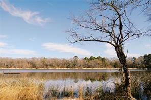 TBD Lot 3 County Road 2200 - Photo 13