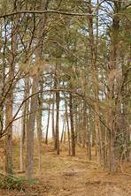 TBD Lot 3 County Road 2200 - Photo 15