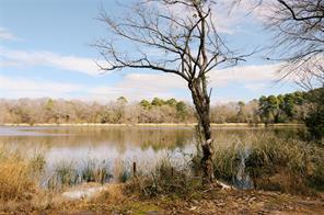 TBD Lot 3 County Road 2200 - Photo 17