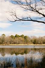TBD Lot 3 County Road 2200 - Photo 18