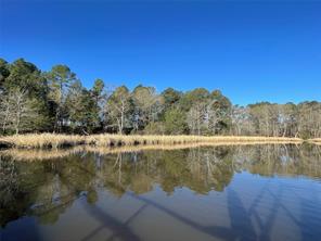 TBD Lot 3 County Road 2200 - Photo 20