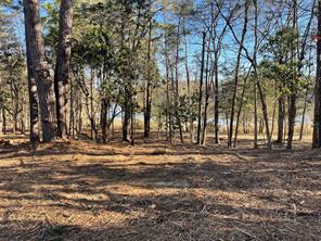 TBD Lot 3 County Road 2200 - Photo 23