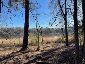 TBD Lot 3 County Road 2200 - Photo 25