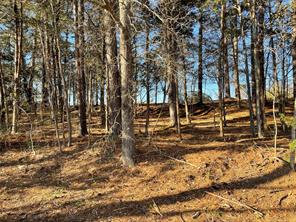 TBD Lot 3 County Road 2200 - Photo 26