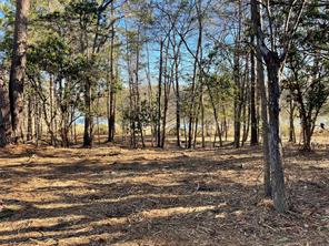 TBD Lot 3 County Road 2200 - Photo 27
