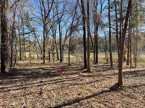 TBD Lot 3 County Road 2200 - Photo 28